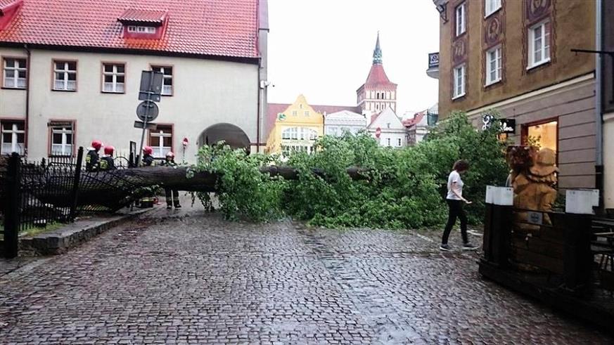 Na olsztyńskiej starówce wichura wyrwała drzewo z korzeniami