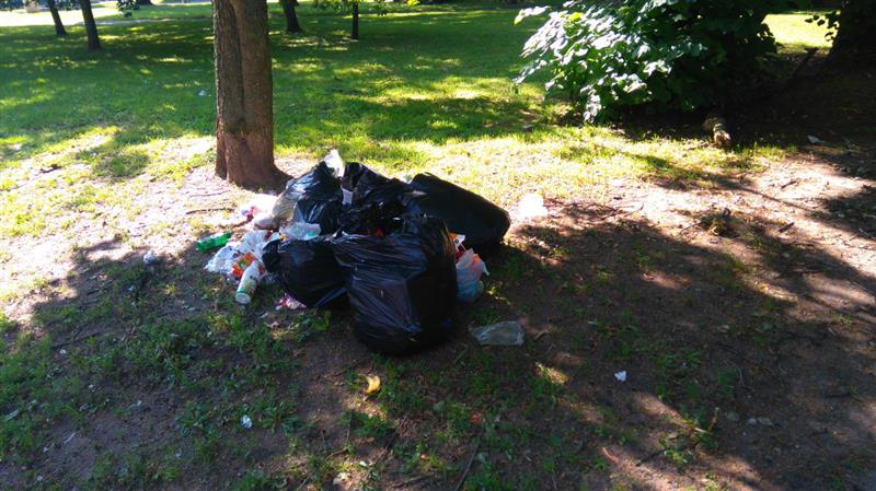 Wyrzucił śmieci w olsztyńskim parku. Strażnicy na kopercie znaleźli dane sprawcy