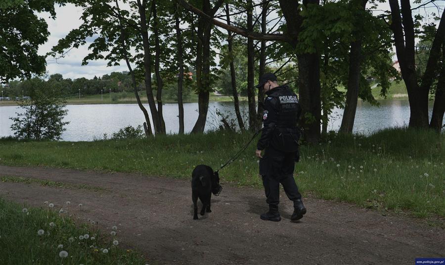 Poszukiwane 7-latki odnalezione przez policyjne psy