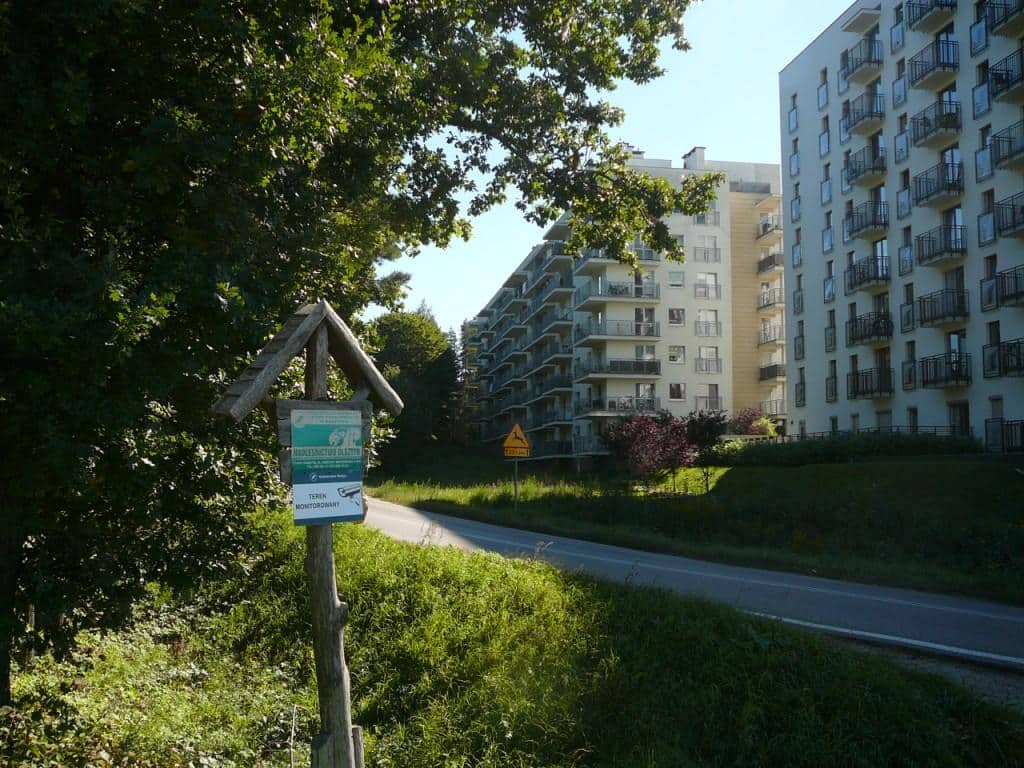 Fragment lasu w Olsztynie trzeba wyciąć, aby zbudować drogę