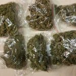 Policjanci zabezpieczyli blisko 8,5 kilograma marihuany Wiadomości