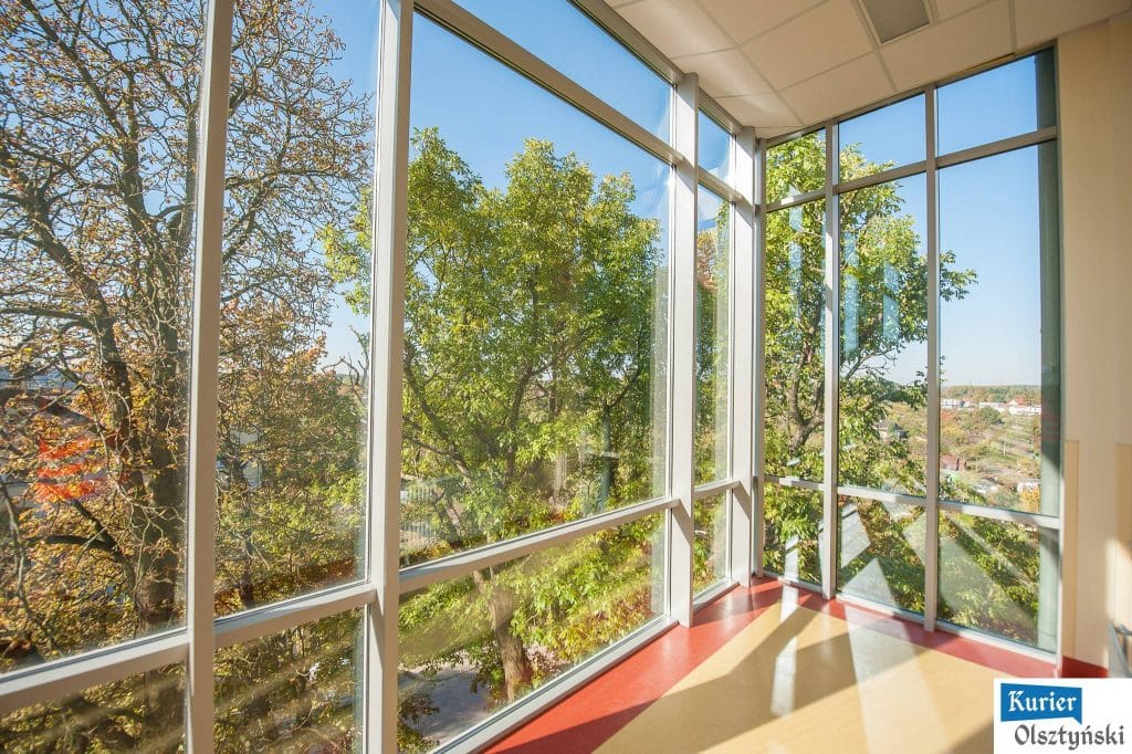 Widok z dużego pokoju z panoramicznym oknem na drzewa i krajobraz za oknami.