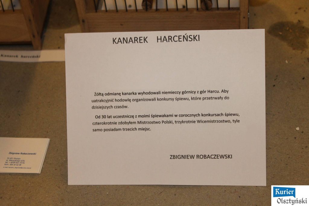 Tablica informacyjna o kanarku harcenskiego na wystawie ptaków w Olsztynie.