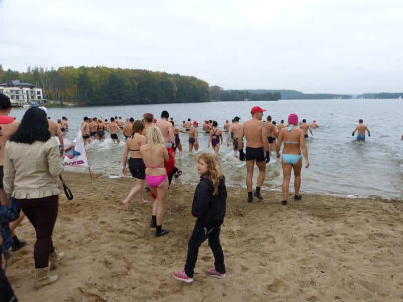 Grupa kąpiących się morsów na plaży nad jeziorem, wchodzą do zimnej wody, w tle las i jezioro.