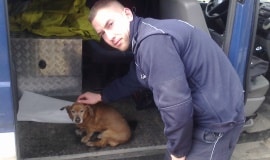 Policjanci uratowali psa, kt&oacute;ry utknął na zamarzniętym jeziorze