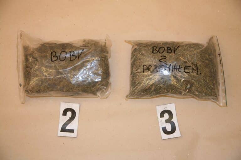 Znana sieć otwiera się w Elblągu, bo w tym mieście jest potencjał?