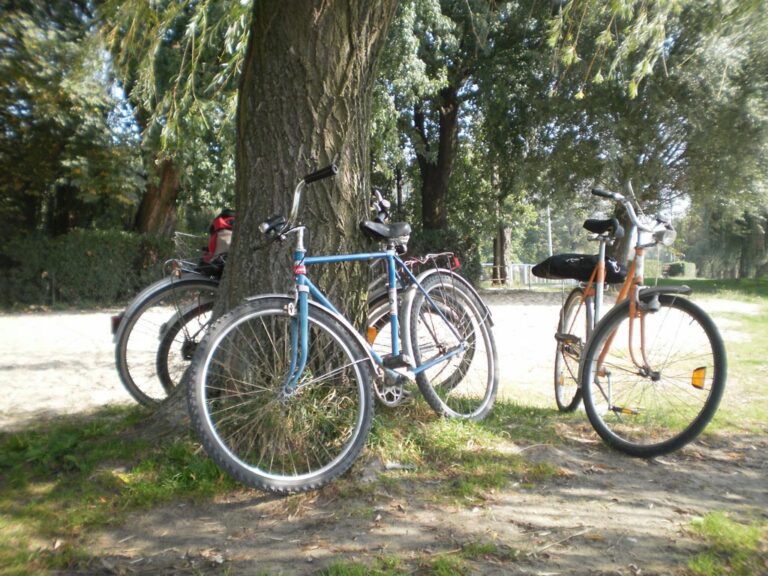 Rowerzyści wkurzają olsztynian!