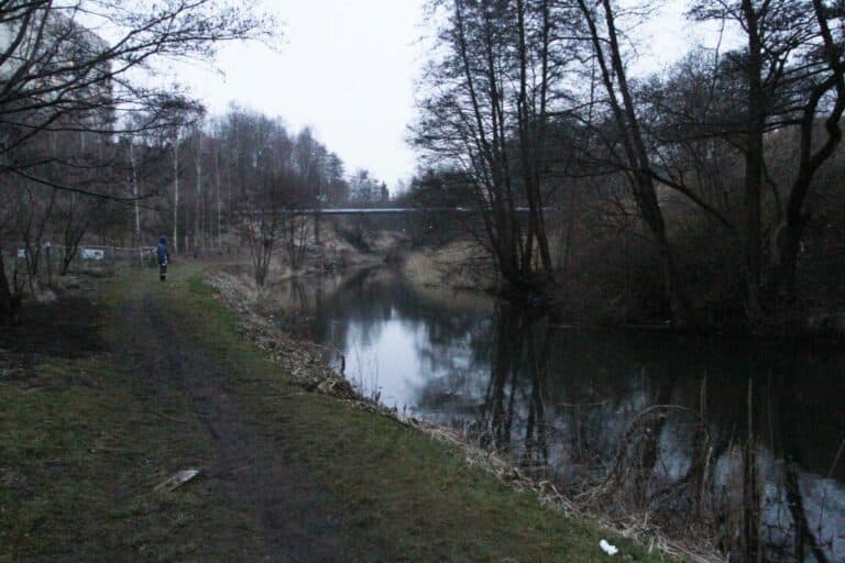 Płynny problem &ndash; młodzież zalała robaka i zatopiła toi toia