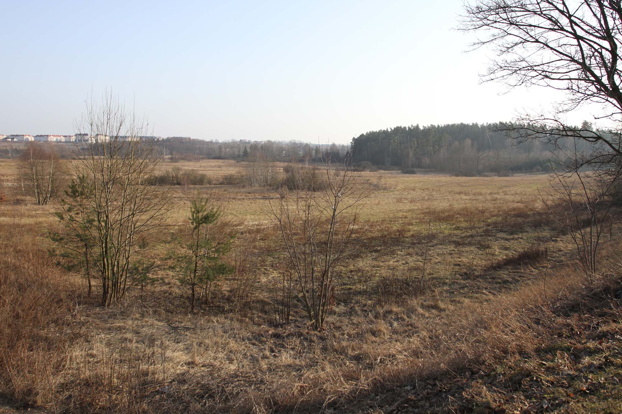 Kolejny krok do budowy połączenia Jarot z al. Warszawską Jaroty Olsztyn, Wiadomości