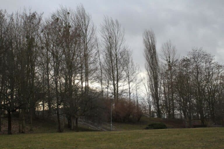 Czy zima powr&oacute;ci? Prognoza na kolejne dni