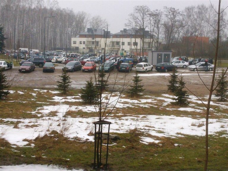 Dzika autogiełda na Dajtkach [GALERIA]