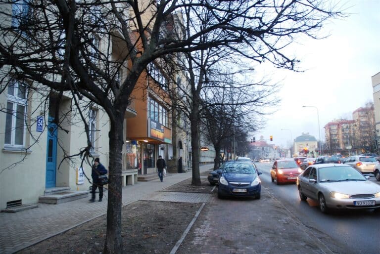 Szykuje się wycinka drzew pod budowę linii tramwajowej