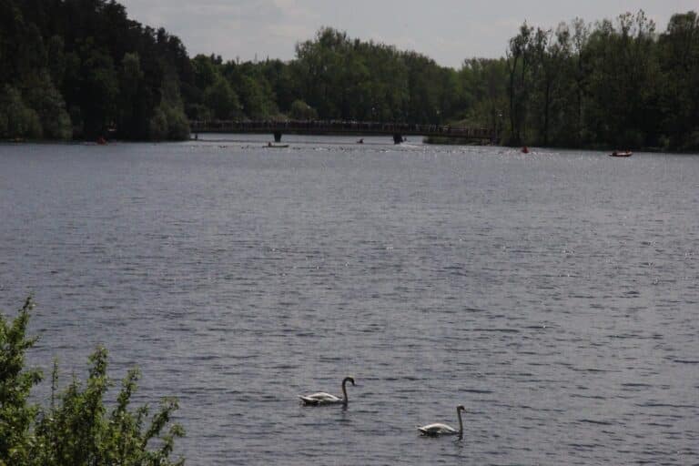 Jezioro Długie zarasta w zatrważającym tempie. Mieszkańcy są zaniepokojeni