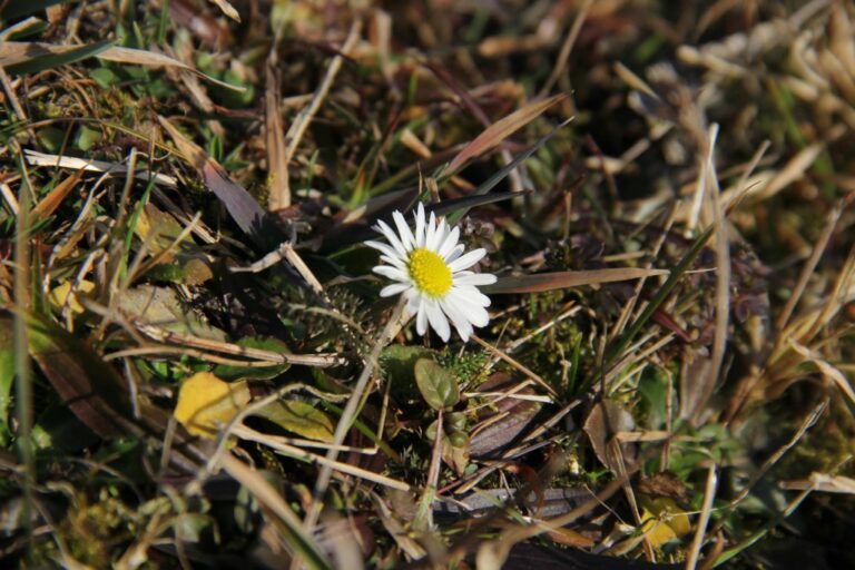 Wiosna!? Nie uwierzysz co przysłał czytelnik! [GALERIA]