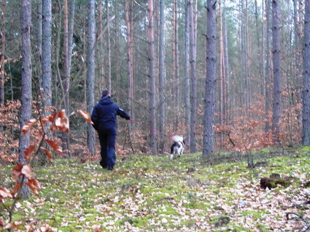 POSZUKIWANIA_0006