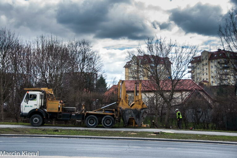 Przesadzanie drzew z al. Sikorskiego [FOTO]