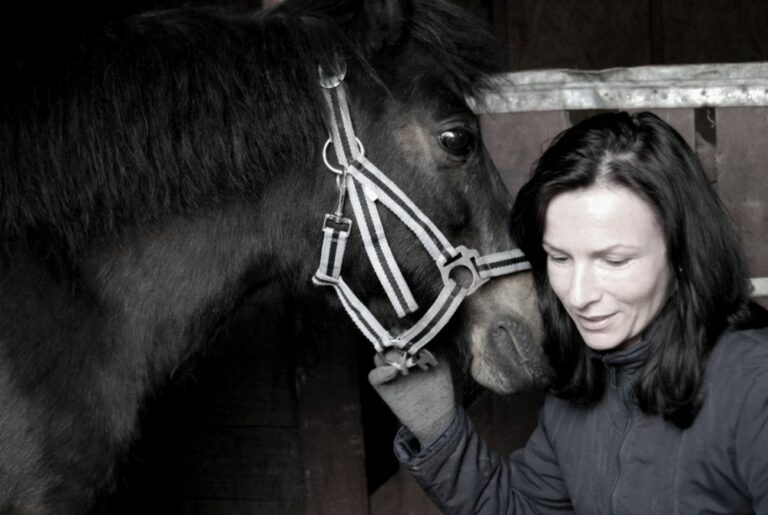 Sanatorium dla koni na Mazurach
