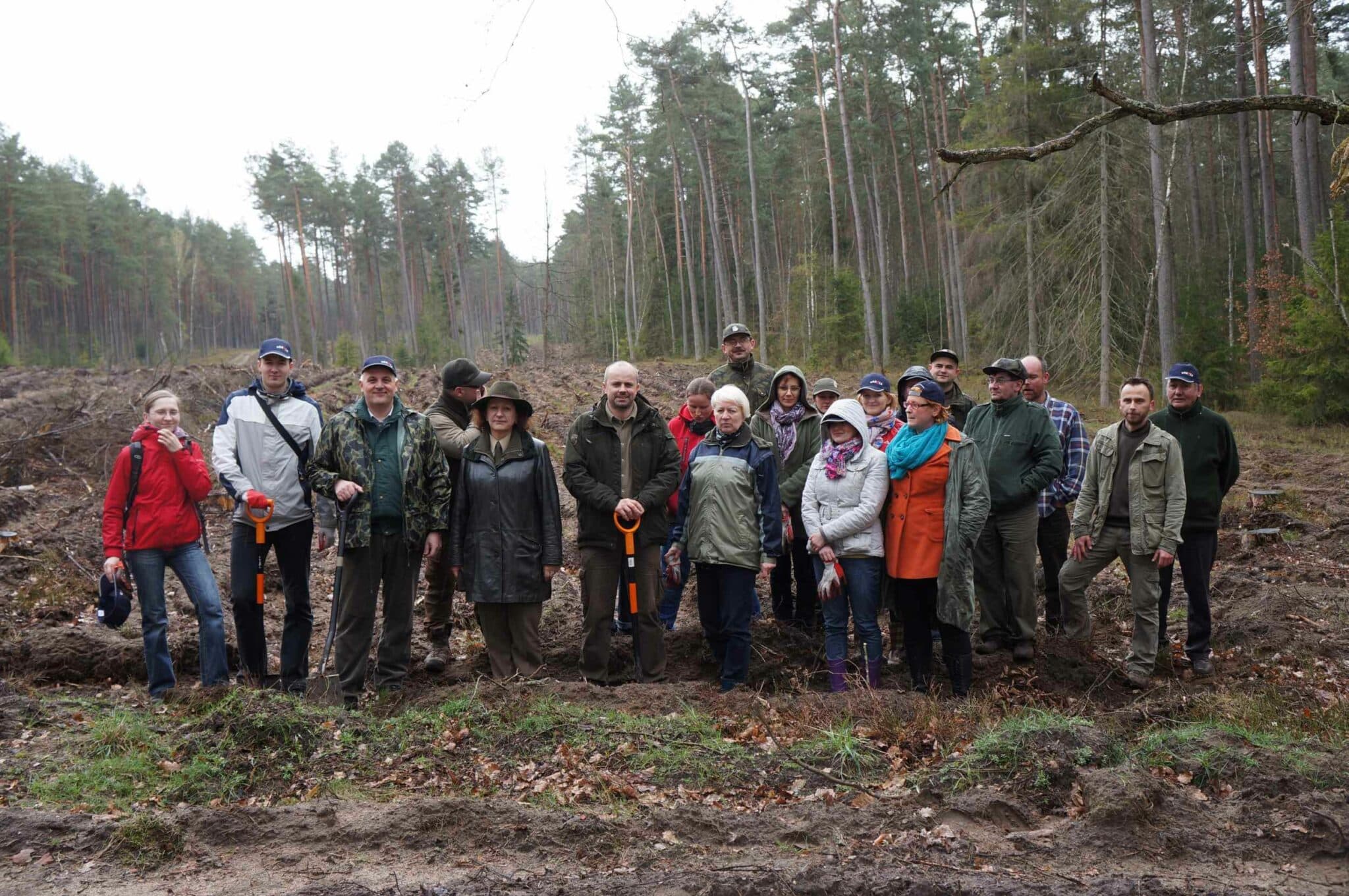 Urzędnicy olsztyńskiego starostwa wzięli udział w akcji sadzenia lasu starostwo powiatowe Olsztyn, Wiadomości