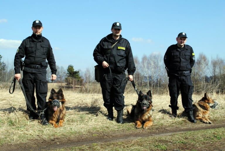 Zamknął żonę na strychu. Na policji zgłosił jej zaginięcie