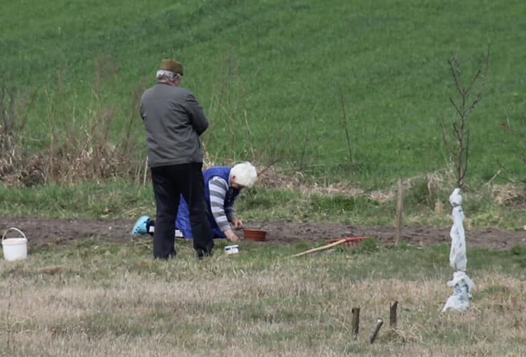 Jak zapewnić bezpieczeństwo mikrobiologiczne żywności?