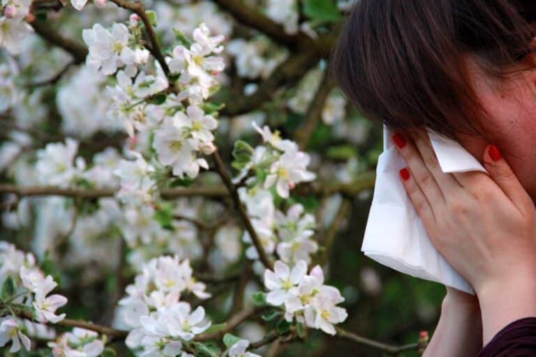 Jesteś alergikiem? Musisz to przeczytać!