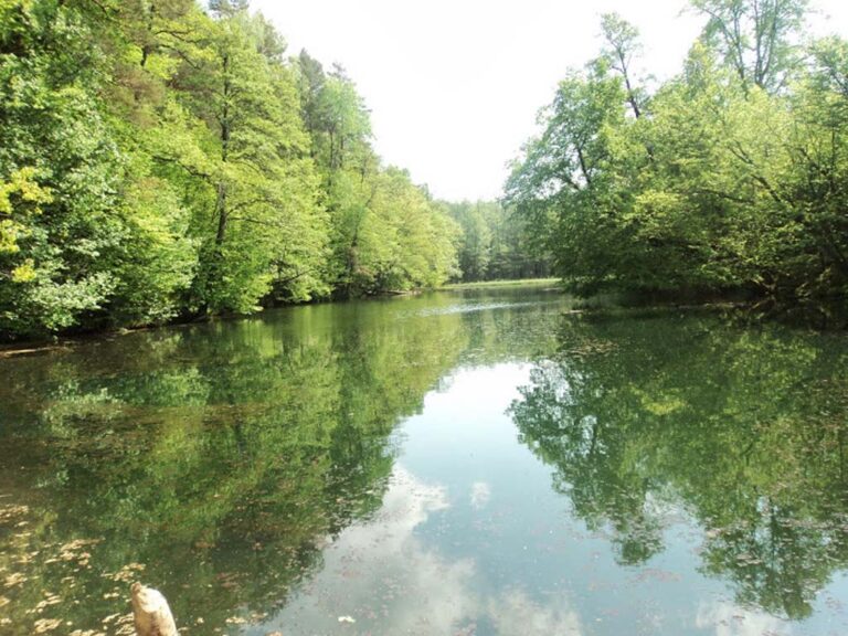 Wypromują Łynę za pomocą zdjęć