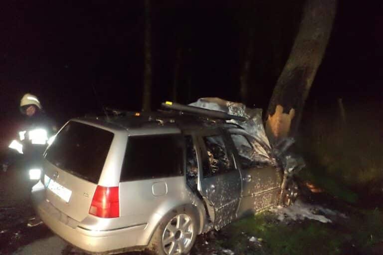 Nie chciał potrącić pieszego, skończył na drzewie