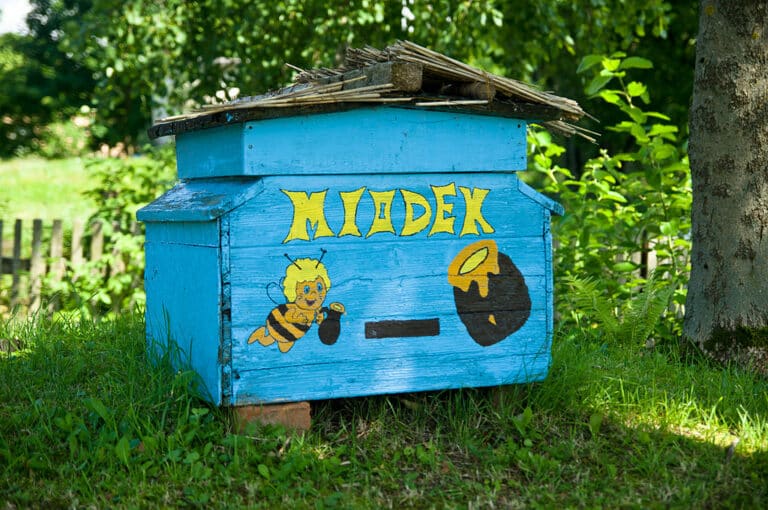 Dwóch mężczyzn i 44 ule…