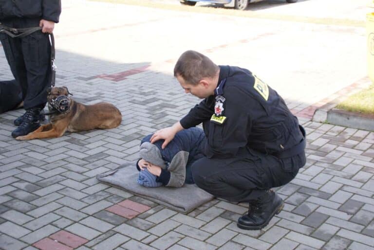 Uważajcie na czworonogi!