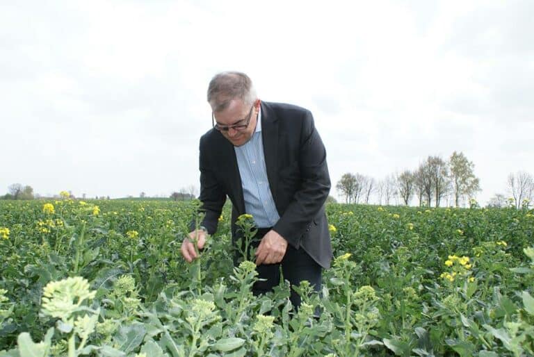 Kandydat do Parlament Europejskiego &ndash; Maciej Mojzesowicz