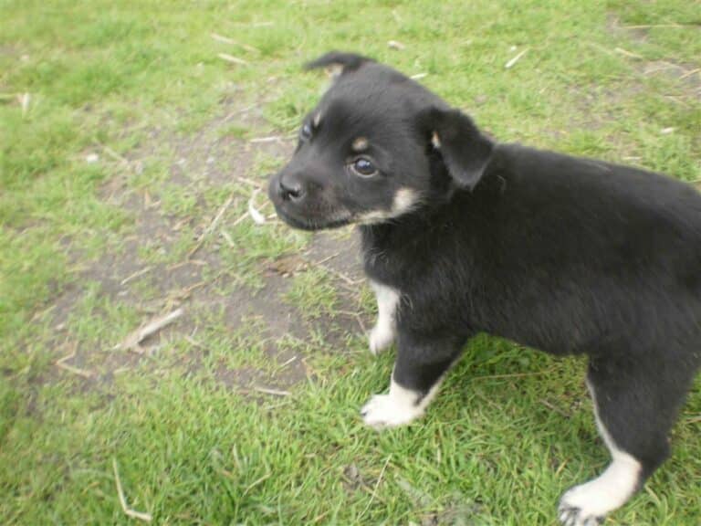 Olsztyn nie jest inny. To zawsze robi furorę na FB…