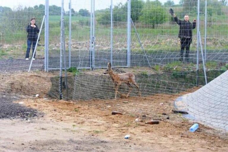 Uratowali przed śmiercią zwierzę
