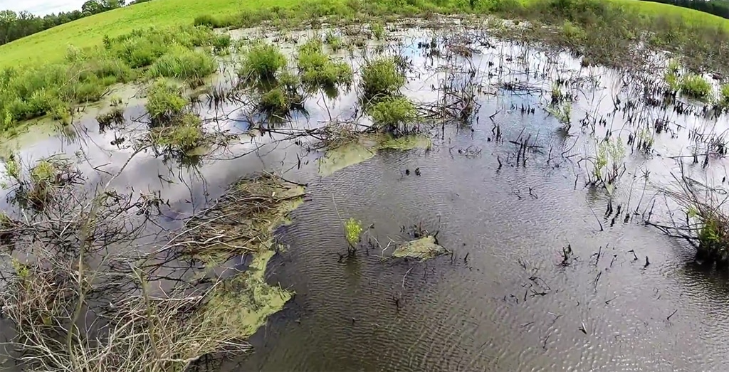 Dasz wiarę, że to Mazury? Olsztyn, Wiadomości