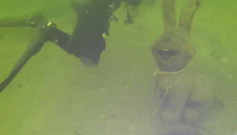 Jezioro Krzywe. Co skrywa na dnie?