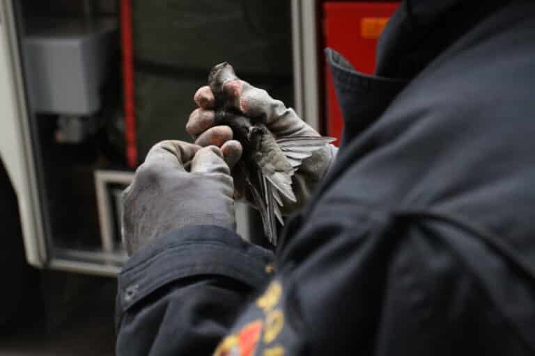 Nietypowa akcja ratunkowa olsztyńskich strażaków