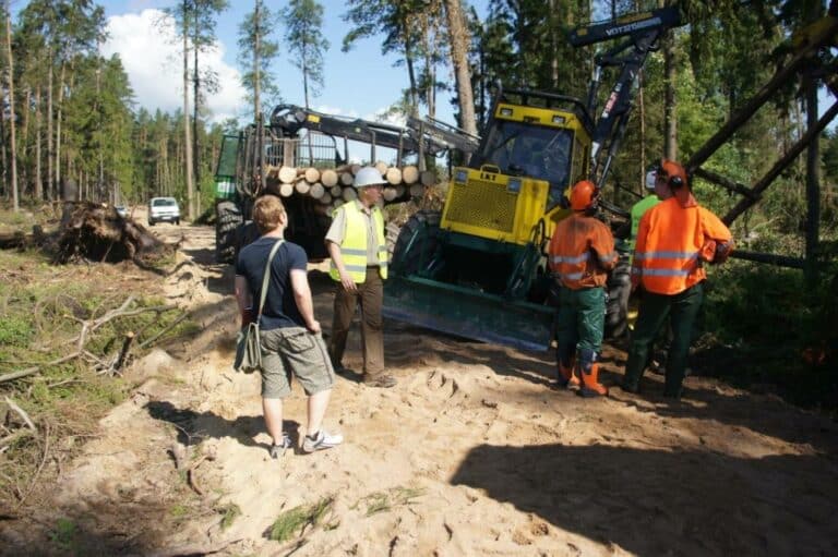 Głosujcie na drzewo z Warmii i Mazur