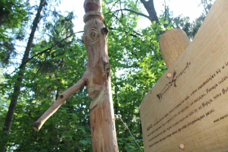 Prezent na wakacje: ścieżka, jakiej jeszcze nie było