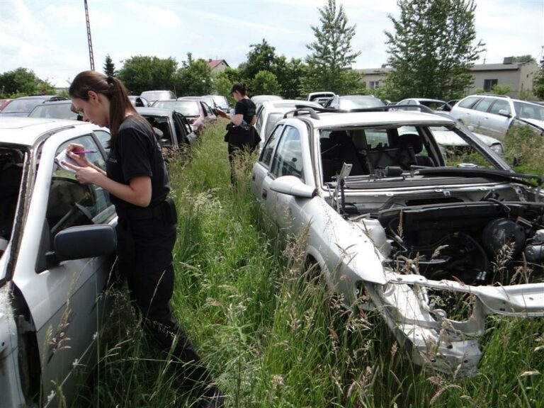 Dziki autokomis pod Iławą. Gigantyczne kary. Celnicy przejęli setkę aut