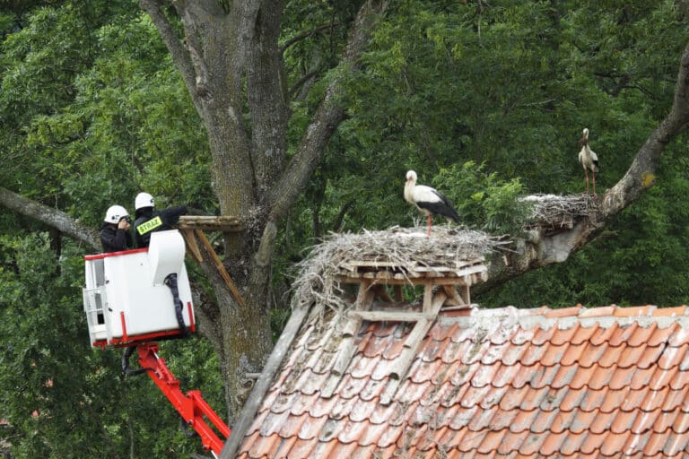 Prawdopodobnie pierwsza taka adopcja w Polsce!
