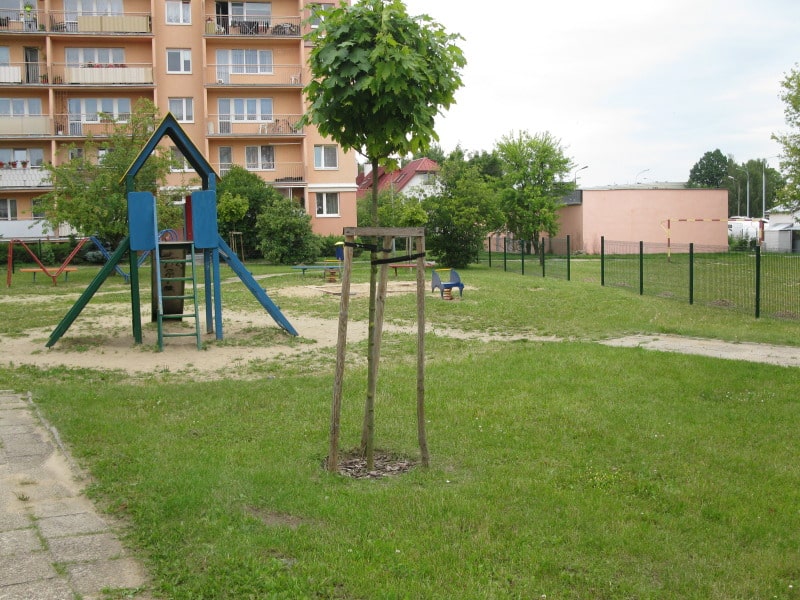 WIECHERTA 11