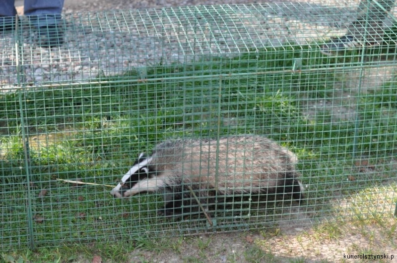 DSC_0097