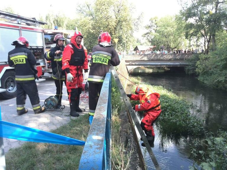 Strażacy wyłowili z Łyny martwego bobra