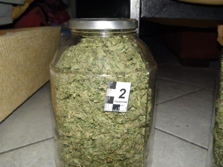 W wekach zamiast ogórków było ponad 100 g marihuany