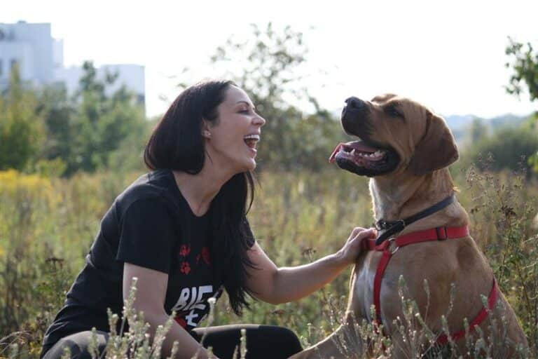 Biegaj na sześć łap z olsztyńskim schroniskiem