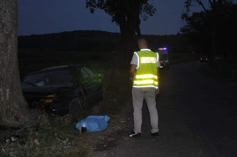 Nietrzeźwy i  bez prawa jazdy uderzył w drzewo. Znieważył policjant&oacute;w, kt&oacute;rzy obsługiwali zdarzenie
