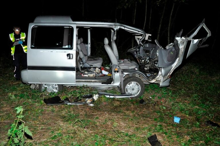 Jeleń wbiegł na jezdnię, cztery osoby ranne