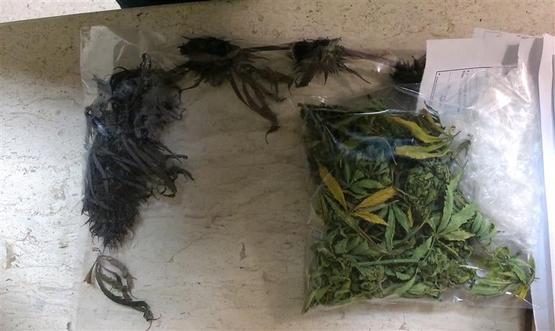 Marihuana 2