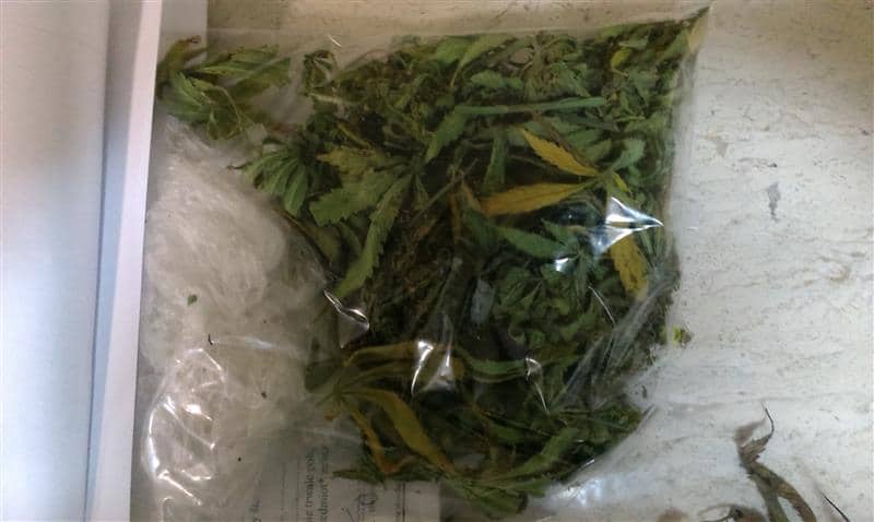 Marihuana 4