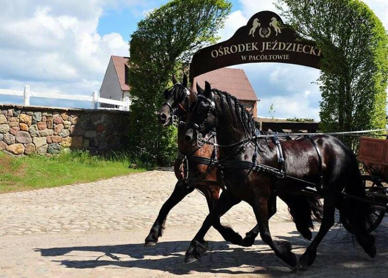 Doroczna gonitwa św. Huberta w Pac&oacute;łtowie