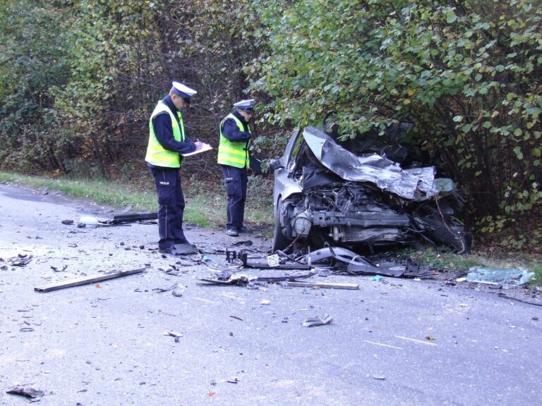 Dwie kolizje, trzy ofiary śmiertelne – fatalny poniedziałek na wojewódzkich drogach